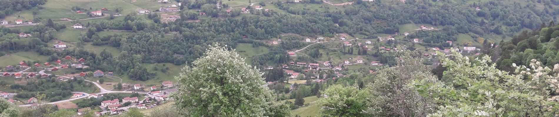 Randonnée Marche La Bresse - Pour aller au marché de la Bresse  - Photo