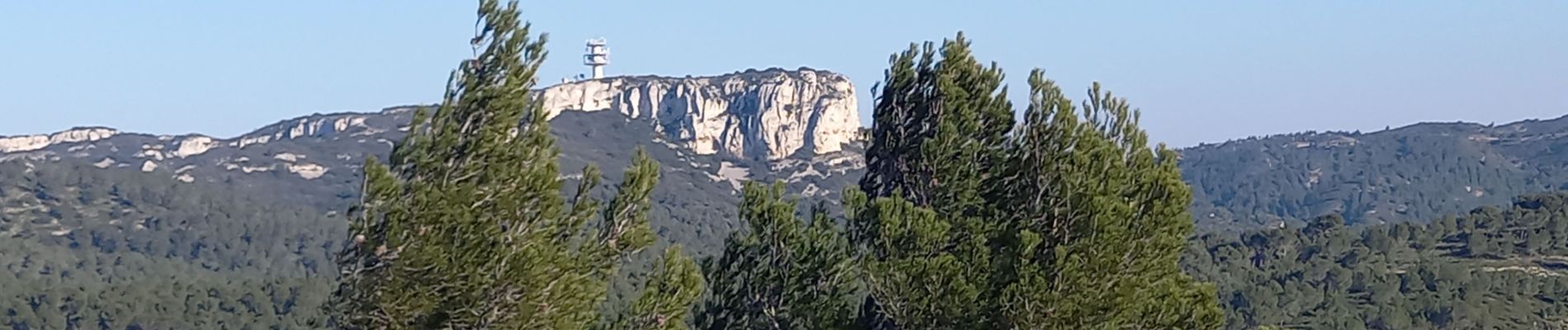 Trail Walking Saint-Rémy-de-Provence - Saint Remy - les Baux  - Photo