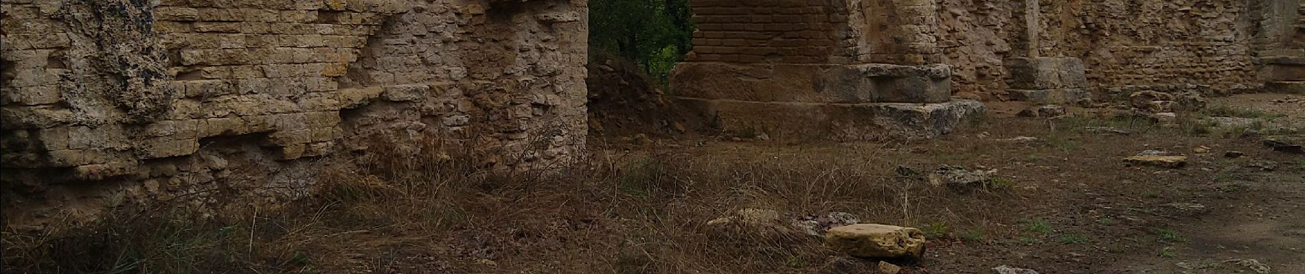 Trail Walking Vers-Pont-du-Gard - Pont du Gard - Photo