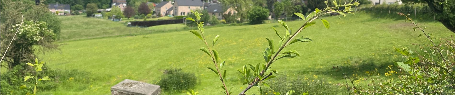 Randonnée Marche Olne - Fraipont trasenster Nessonvaux - Photo