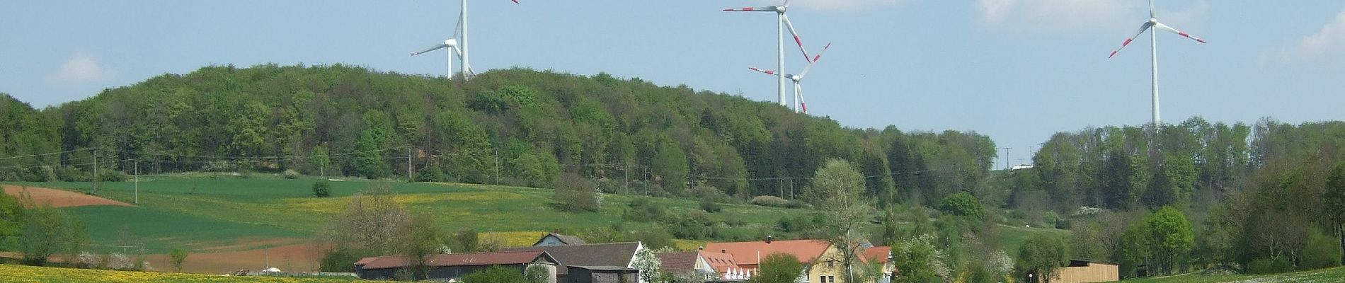 Tocht Te voet Heidenheim - Quellenweg (Hahnenkamm) - Photo