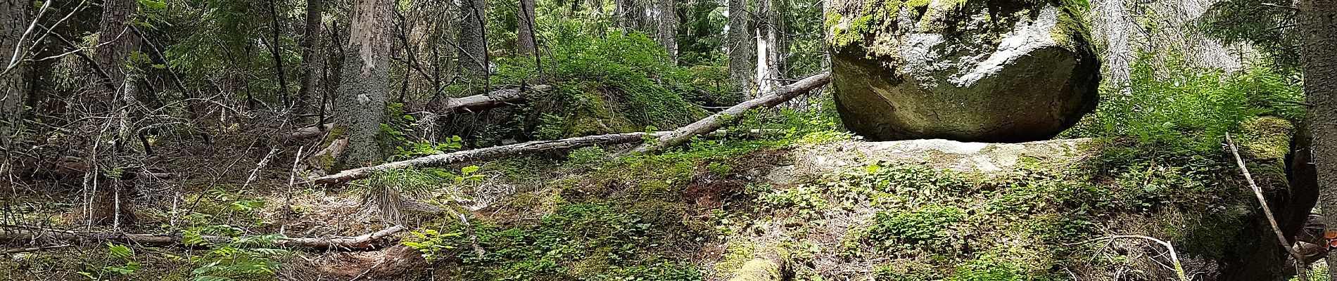 Percorso A piedi Sconosciuto - Trehörningsrundan - Photo