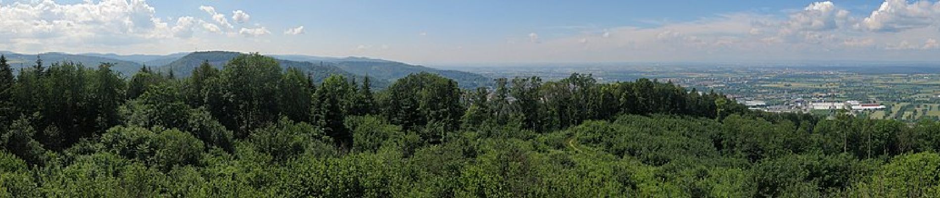 Percorso A piedi Weinheim - Rundwanderweg Weinheim Hirschkopf 1: Hirschkopfturm-Weg - Photo