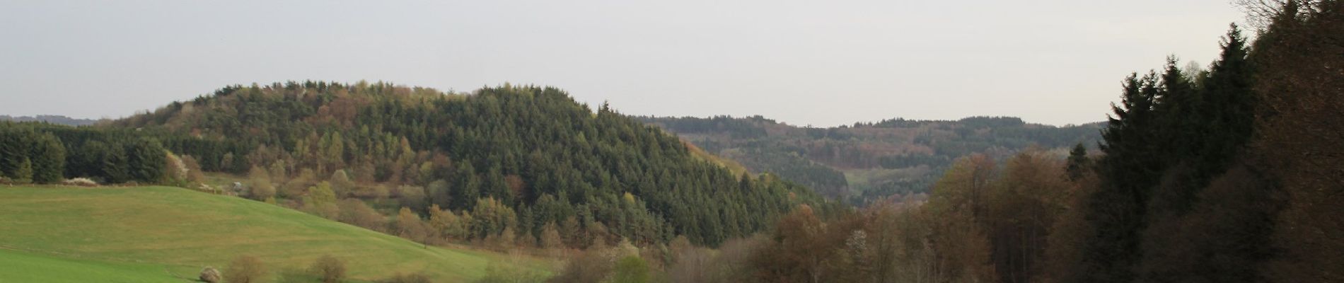 Tour Zu Fuß Siegbach - Wanderweg E14 / Wilhelmsteine - Photo