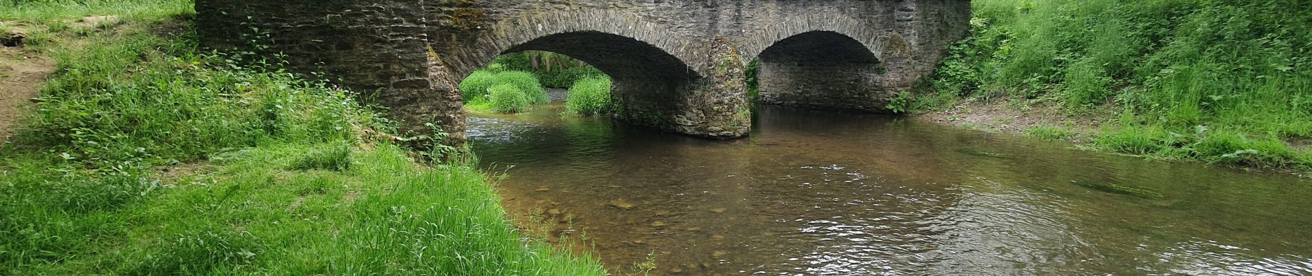 Tocht Stappen Libin - troisièmes étapes entre lesse et lomme  - Photo