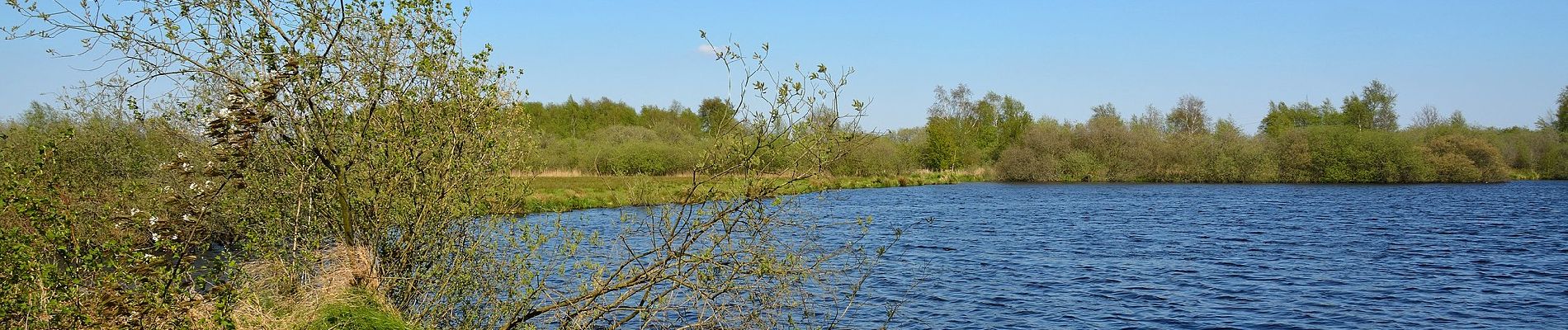 Tocht Te voet Tellingstedt - Klaus-Groth-Wanderweg - Photo