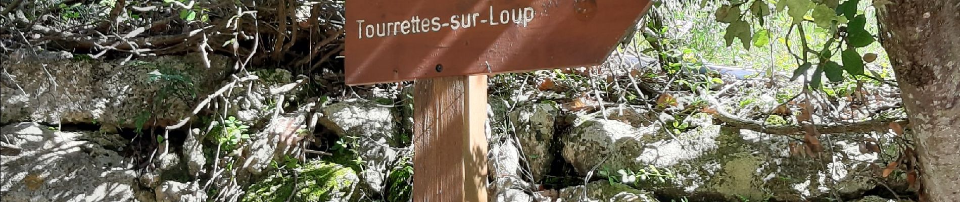 Trail Walking Tourrettes-sur-Loup - pié Martin - Photo