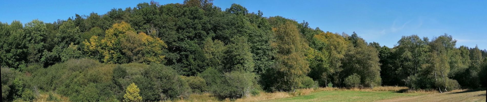 Tour Wandern Léglise - Vlessart - Photo