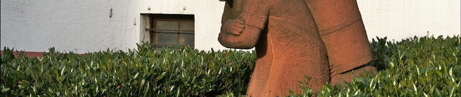 Percorso A piedi Weingarten - Über sanfte Hügel zur Schönen Aussicht - Photo