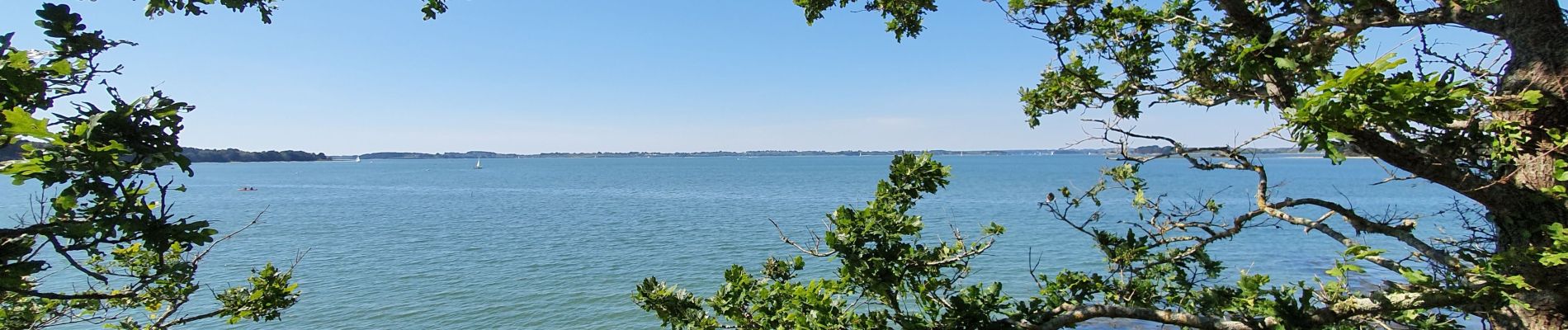 Tour Wandern Sarzeau - pointe de l'Ours à partir de Bernon - Photo