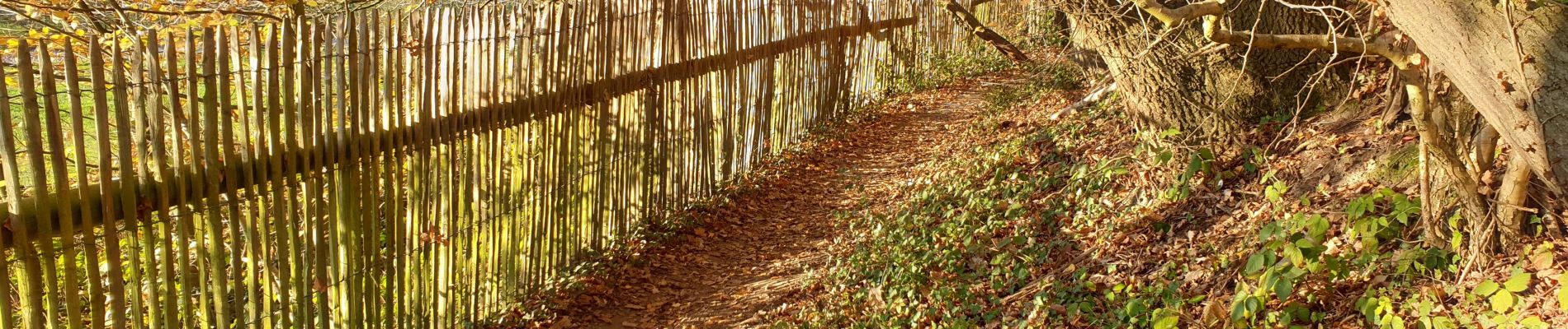 Tour Wandern Court-Saint-Étienne - Tangissart - Photo