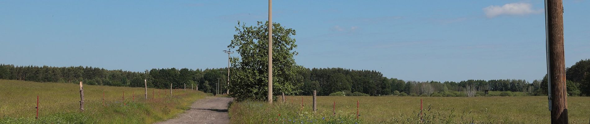 Tocht Te voet Spreewaldheide - Wanderweg Butzen-Byhlener See - Photo