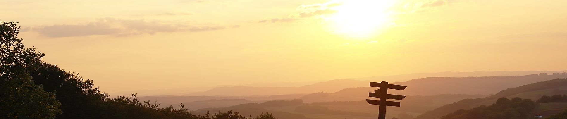 Tour Zu Fuß Kirschroth - Fuchspfad - Kirschroth - Photo