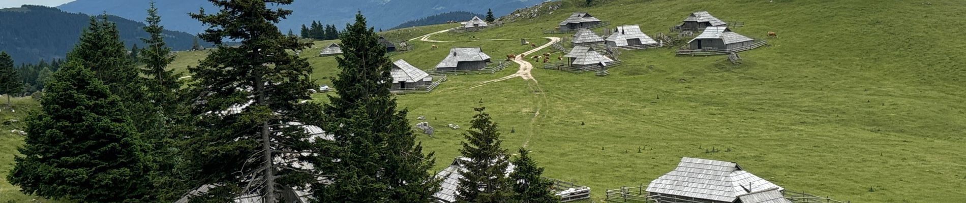 Tocht Stappen Kamnik - Velika Planina - Photo