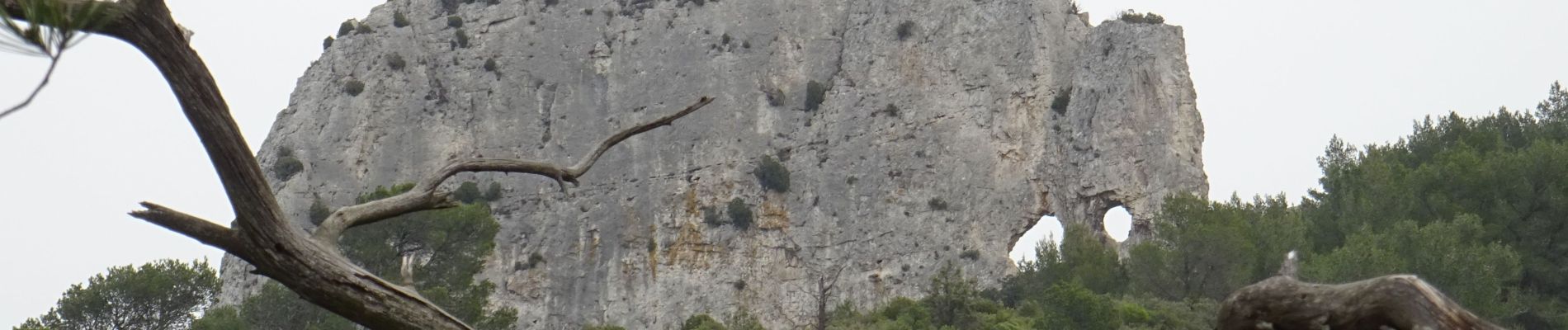 Excursión A pie Saint-Rémy-de-Provence - ST REMY - Photo