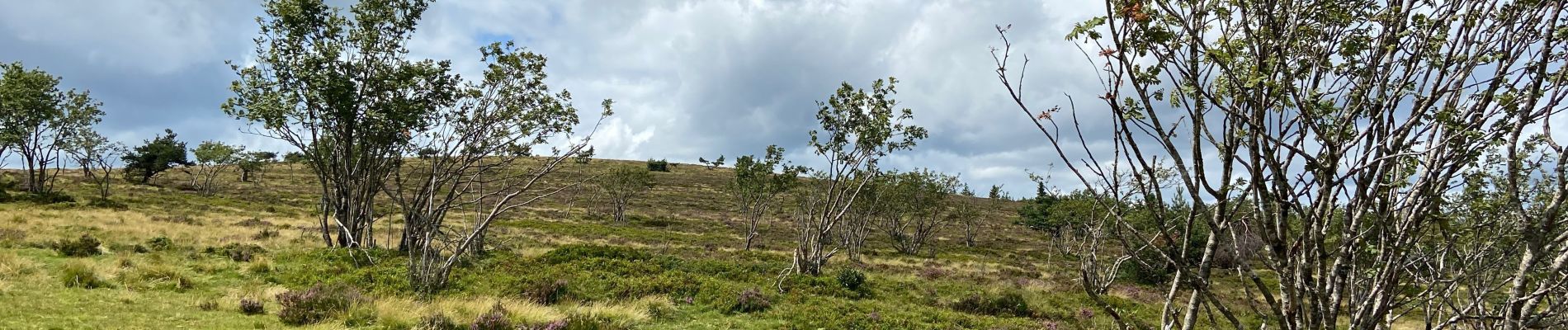 Tour Wandern Chalmazel-Jeansagnière - Col de la Loge - Col du Béal - Photo