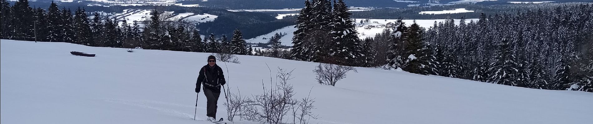 Excursión Esquí de fondo Longevilles-Mont-d'Or - 20-03-21 SRN avec Evasions Nordiques - Photo