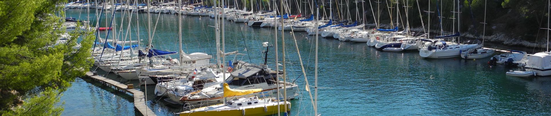 Tocht Stappen Cassis - XX-Cassis-Les Calanques-Miou-Pin-En Vau - Photo