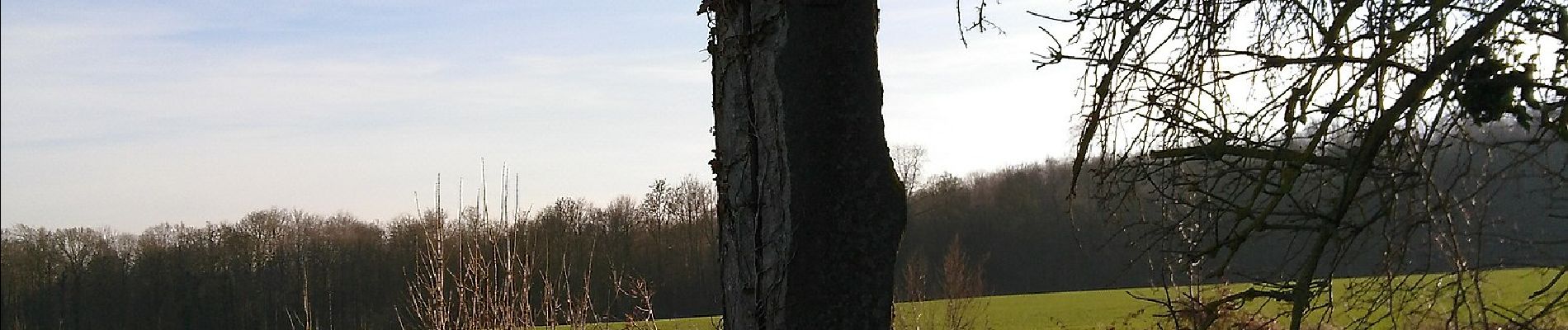 Excursión A pie Incourt - Promenade d'Happeau - Photo