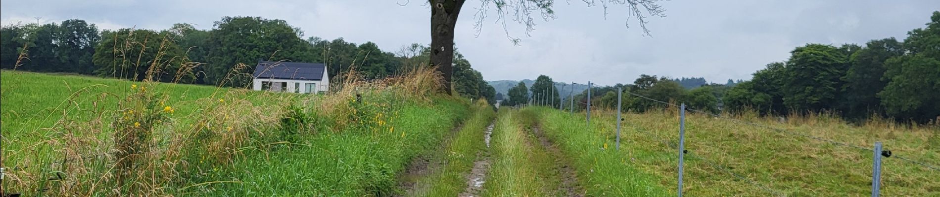 Randonnée Marche Marchin - Vyle et Tharoul 030724 - Photo