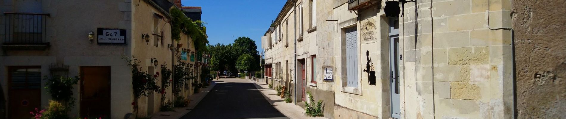 Tour Wandern Villandry - Villandry - Bec-du-Cher - 7.2km 0m 1h45 - 2017 11 05 - Photo