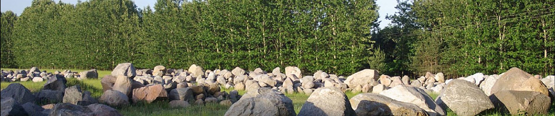 Percorso A piedi Drebkau - Altbergbau Görigk - Photo