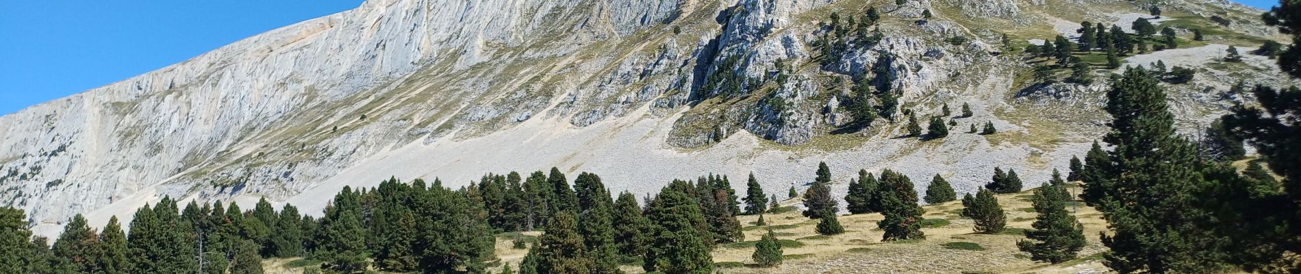 Trail Walking Saint-Agnan-en-Vercors - grand veymont par pre rateau - Photo