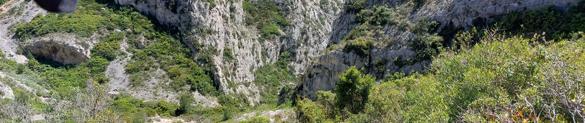 Trail Walking Marseille - bec de sormiou-baumettes - Photo