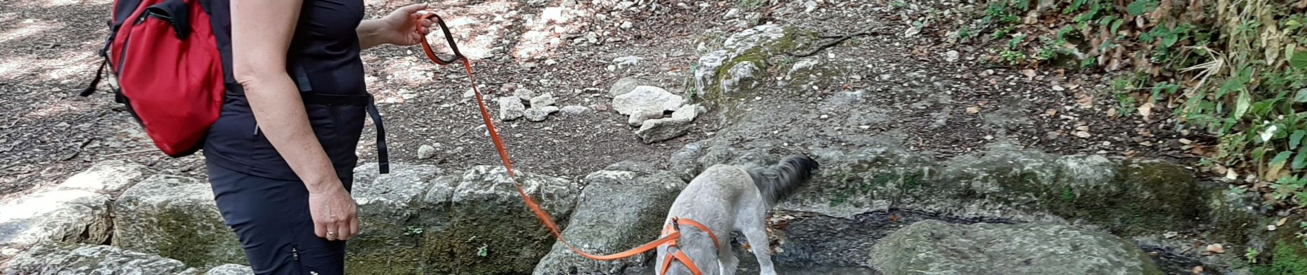 Tocht Stappen La Garde-Adhémar - la garde adhemar - Photo