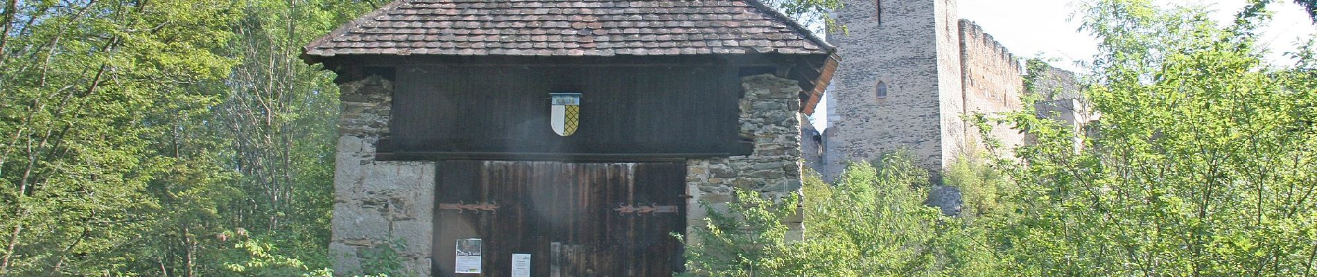 Tocht Te voet Gemeinde Hardegg - Merkersdorfer Rundwanderweg - Photo