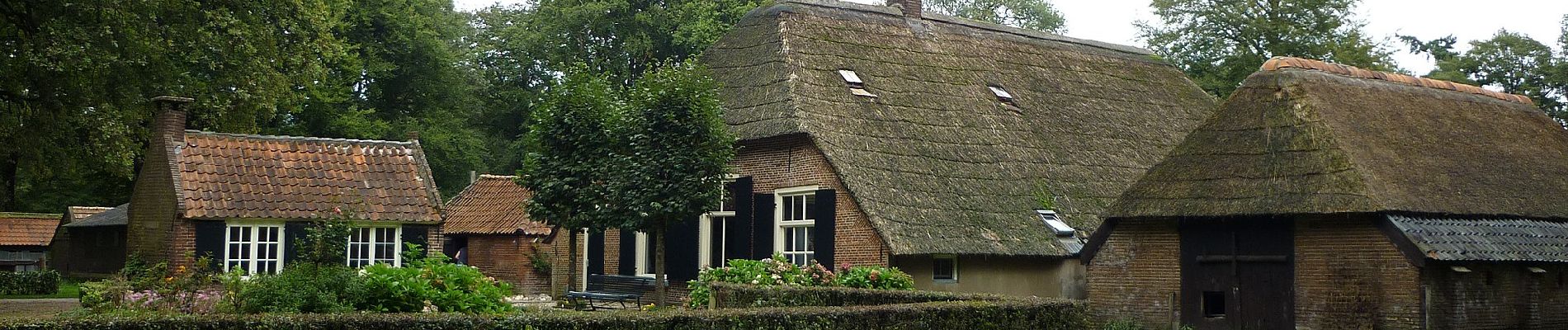 Tocht Te voet Putten - Groene Wissel: Putten - Photo