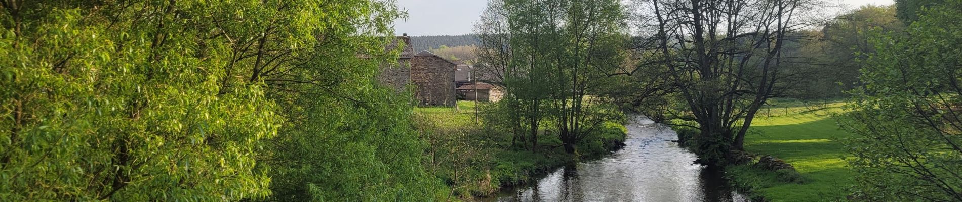 Tocht Stappen Paliseul - rando our 9-05-2024 - Photo