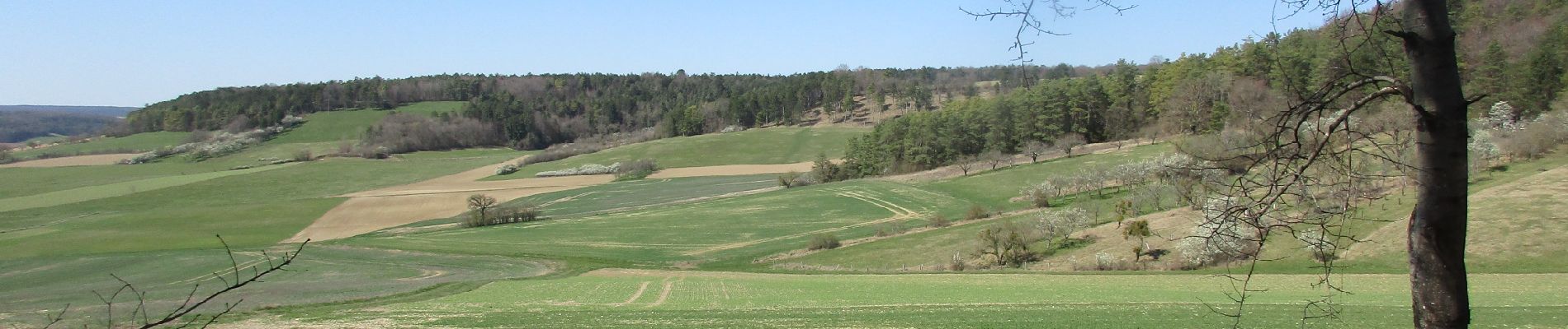 Randonnée Marche Braux-le-Châtel - Le Tour de la Rêpe - Photo