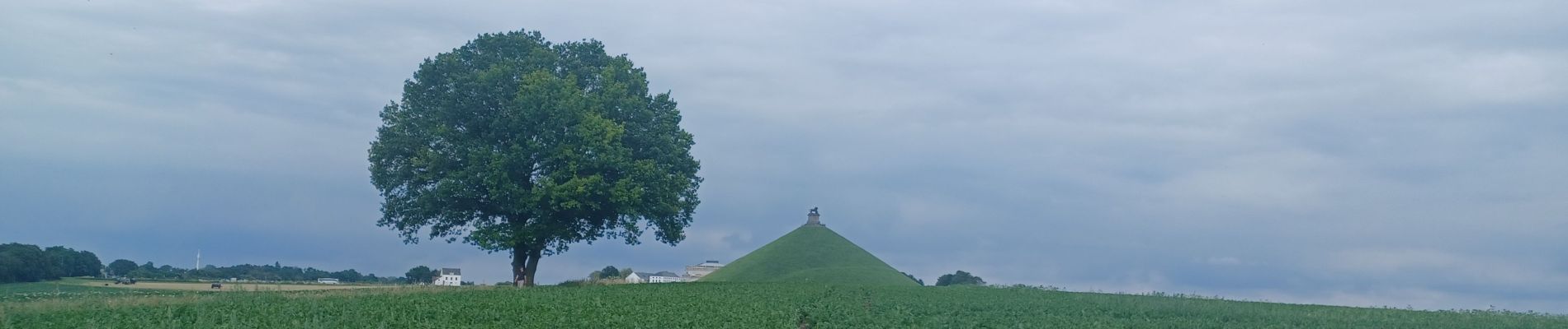 Trail Mountain bike Sint-Genesius-Rode - 62 km de Halle - Photo