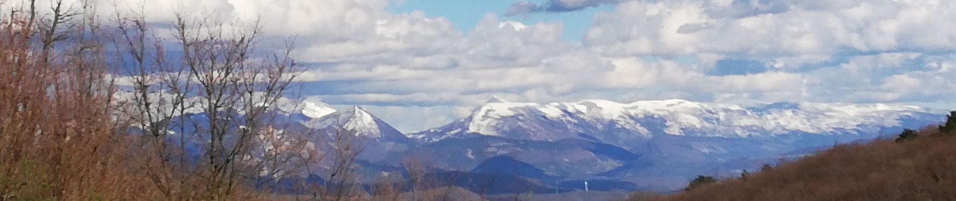 Randonnée Marche Marsanne - 20190404marsannes - Photo