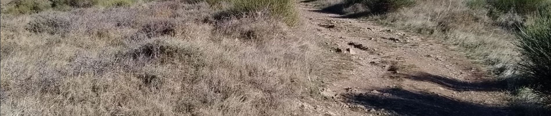 Excursión Senderismo Cabrières - Crêtes du Vissou - Photo