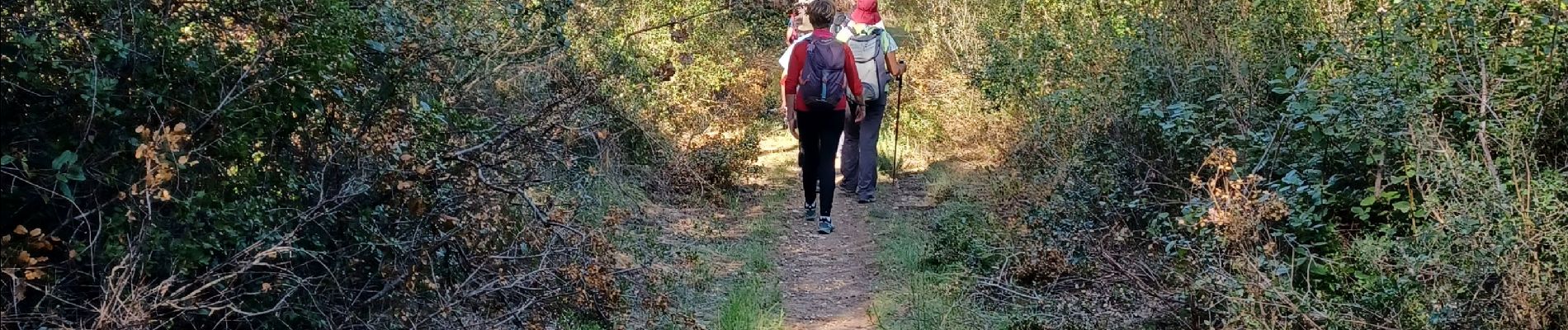 Tocht Stappen Saint-Rémy-de-Provence - 2024-03-16 Mac des peitoo - Photo