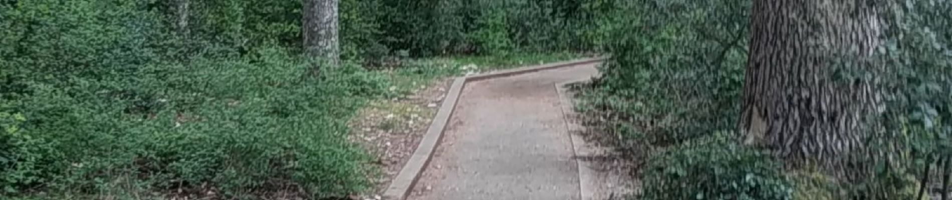 Tocht Stappen Bonnieux - Forêt des Cèdres - Photo