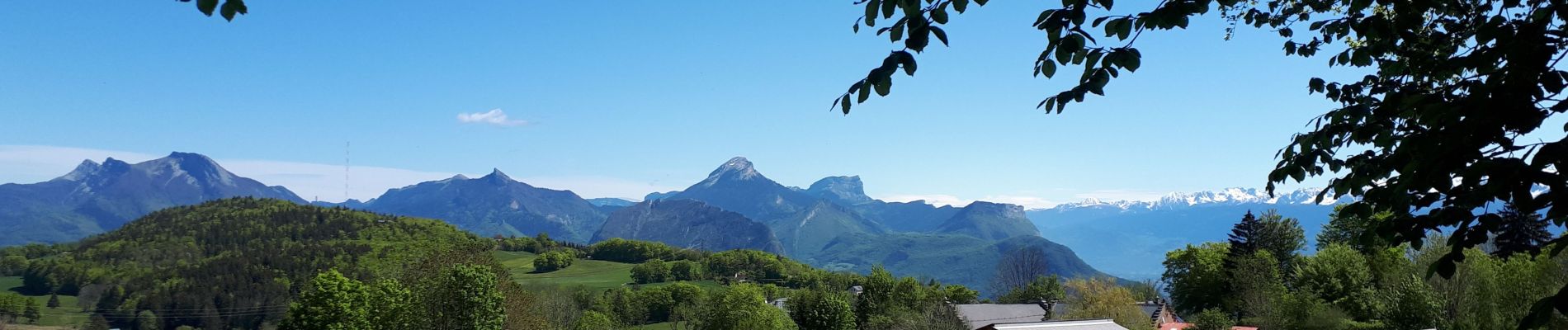 Tour Nordic Walking Saint-Nizier-du-Moucherotte - Parcours avec vue en 8 sur le plateau Charvet en Marche Nordique - Photo