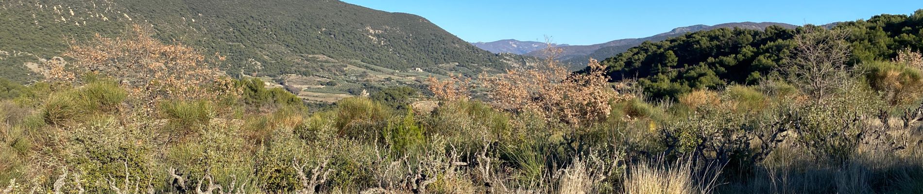 Excursión Senderismo Venterol - Crêtes au-dessus de Nyons.  - Photo