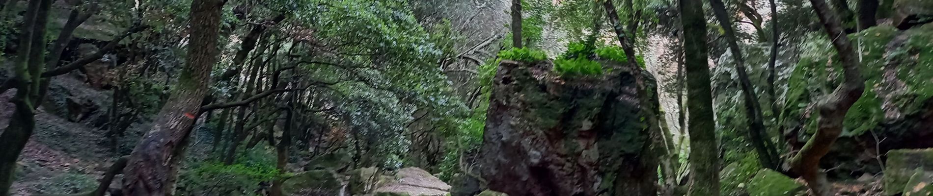 Trail Walking Bagnols-en-Forêt - Gorges du Blavet au col de la pierre du coucou - Photo