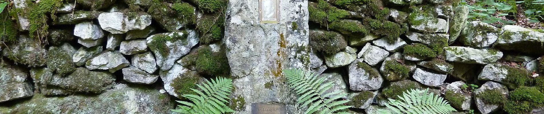 Tour Zu Fuß Duingen - DU 1 Panoramaweg Pottland - Photo