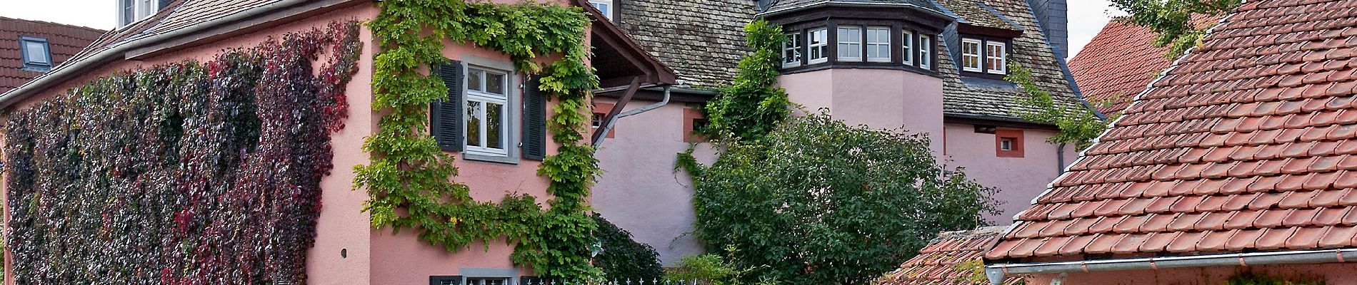 Percorso A piedi Lörzweiler - Lörzweiler Weinwanderweg - Photo