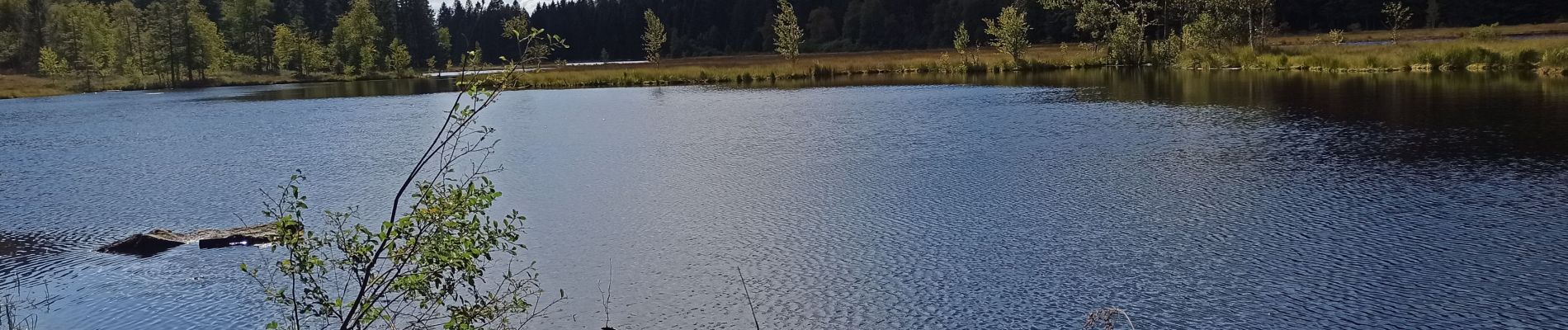 Tour Mountainbike Gerdsee - Gérardmer Le Honneck - Photo