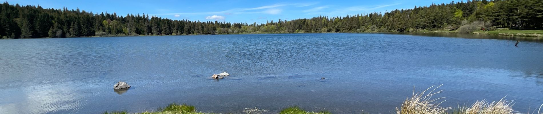 Excursión Senderismo Orcival - Lac de Servières - Photo