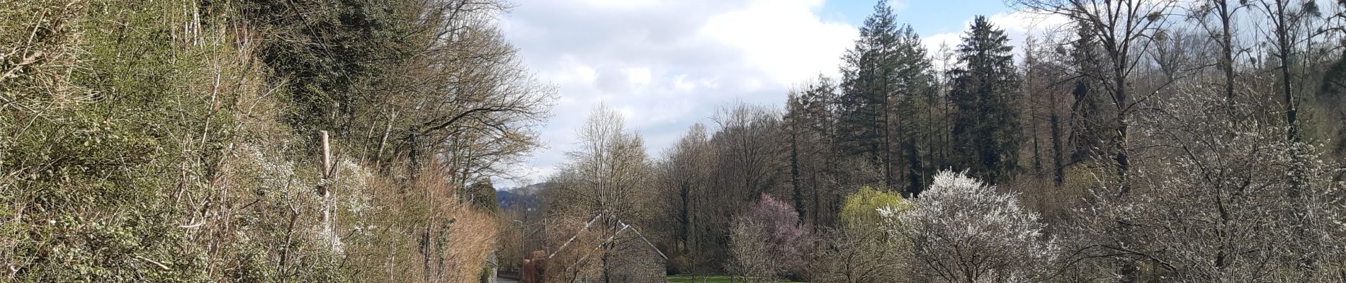 Tocht Stappen Aywaille - aywaille - martinrive a/r de part et d autre de l ambleve  - Photo