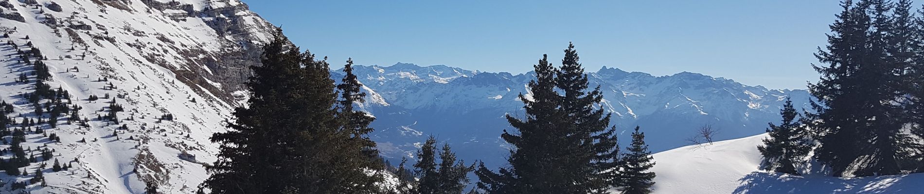 Trail Snowshoes Plateau-des-Petites-Roches - Pravouta 2022 - Photo
