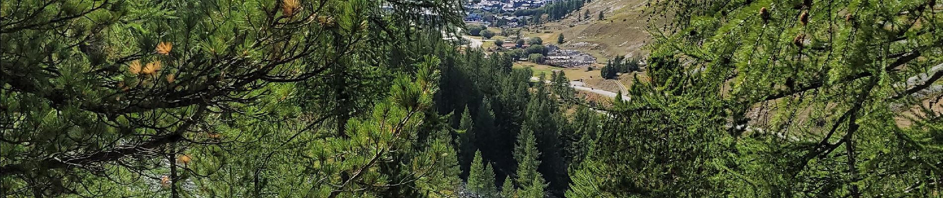 Tour Wandern Val-d'Isère - de la legettaz au fornet - Photo