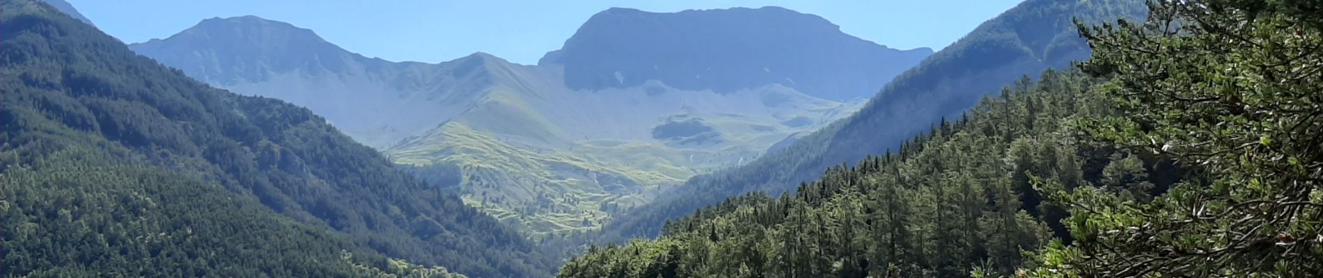 Tour Wandern Seyne - SEYNES LES ALPES . Grand puy , montagne de la Blache , cabane du Mulet o l s - Photo