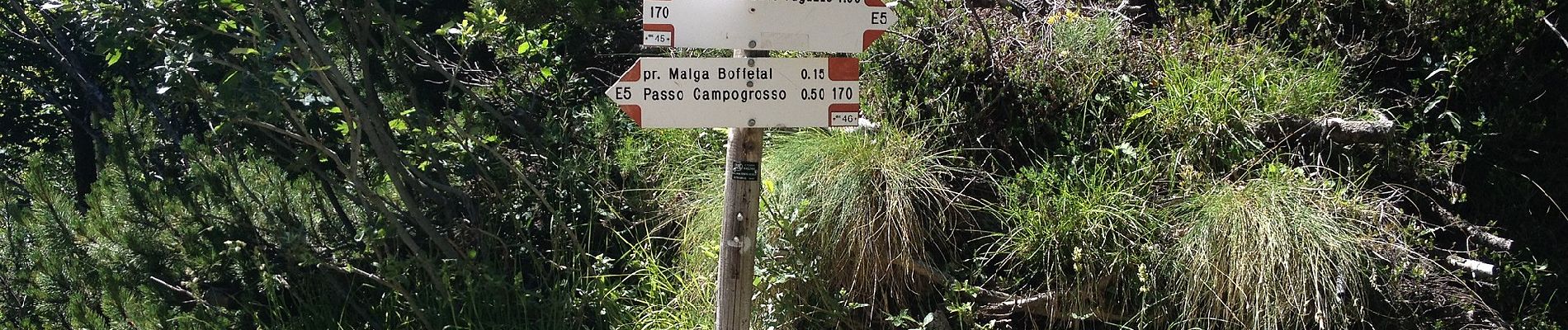 Percorso A piedi Valli del Pasubio - Sentiero dell'Emmele - Photo